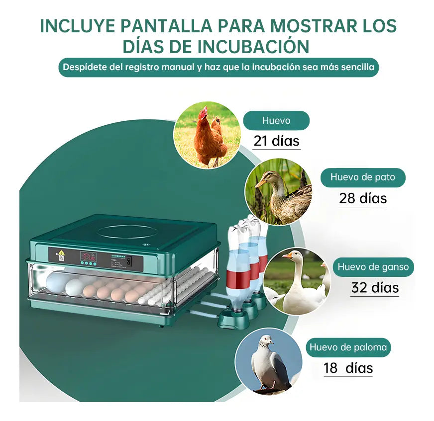 Incubadora Automática Para 64 Huevos De Pollos Y Aves
