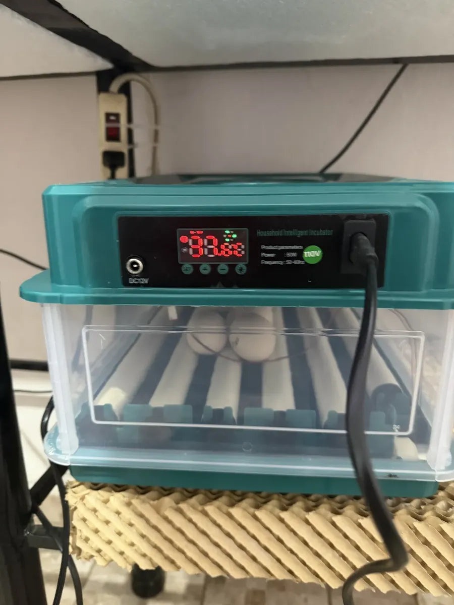 Incubadora Automática 24 Huevo 360° Giro Control Temperatura