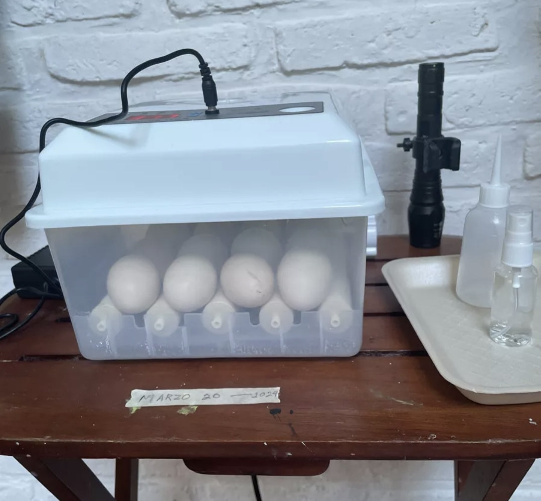 Incubadora automática de huevos 16 piezas