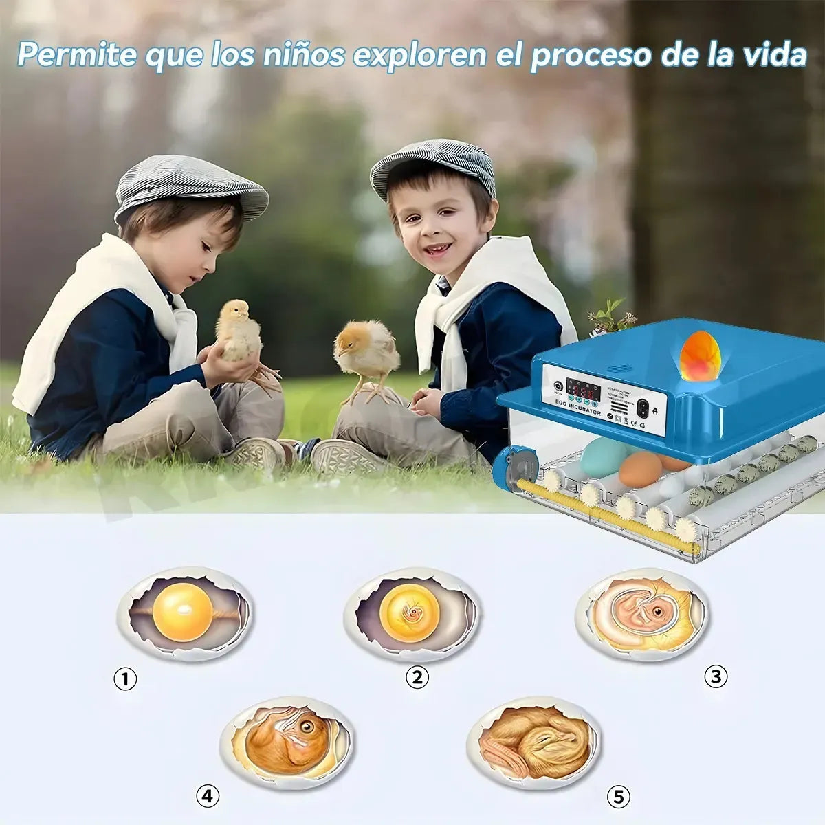 Incubadora Automática Inteligente Incubadora Avícola 16 Espacios 80w Azul