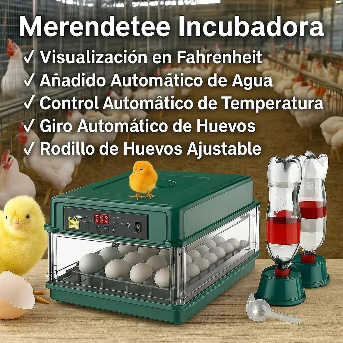 Incubadora Automática Para 64 Huevos De Pollos Y Aves