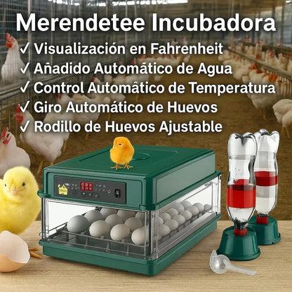 Incubadora Automática Para 64 Huevos De Pollos Y Aves