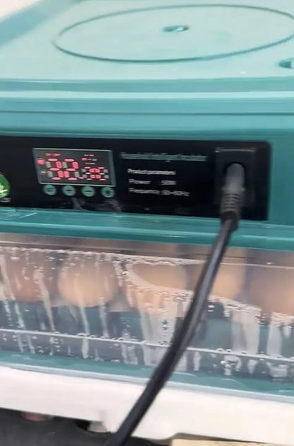 Incubadora Automática 24 Huevo 360° Giro Control Temperatura