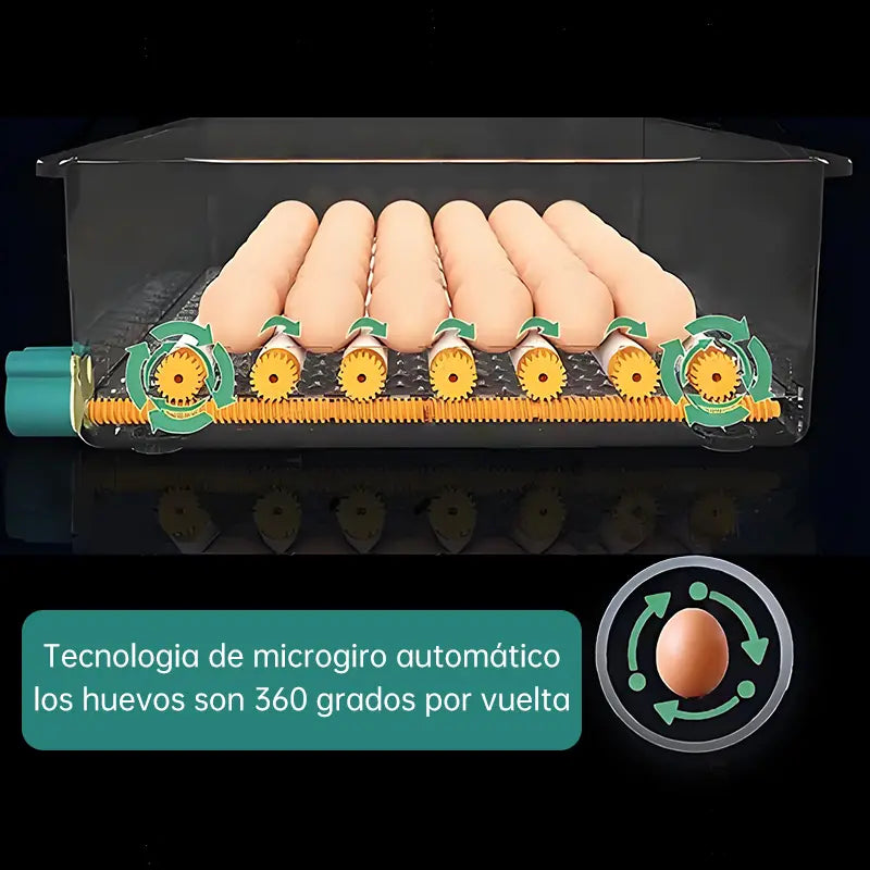 Incubadora Automática Para 64 Huevos De Pollos Y Aves