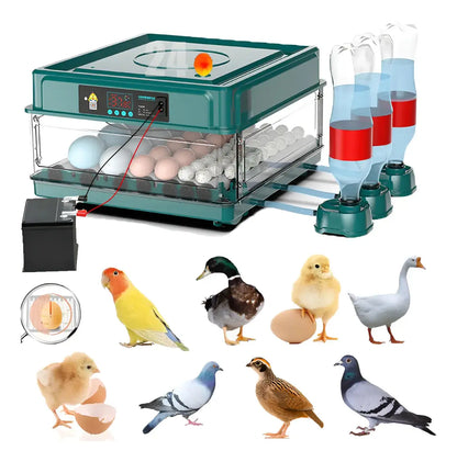 Incubadora Automática Para 64 Huevos De Pollos Y Aves