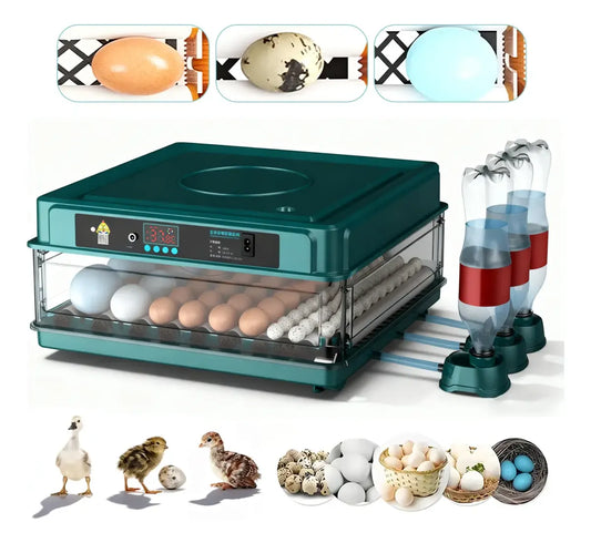 Incubadora Automática Para 64 Huevos De Pollos Y Aves