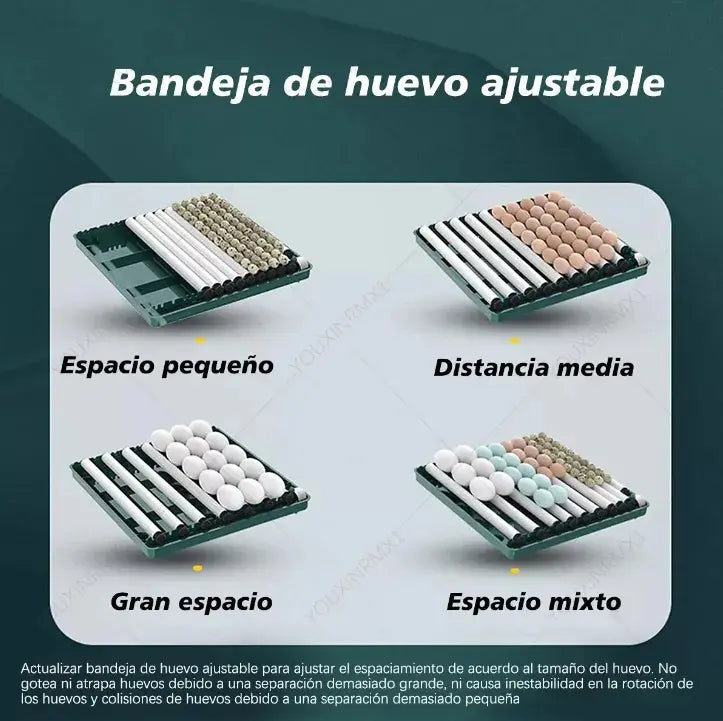 Incubadora Automática 24 Huevo 360° Giro Control Temperatura
