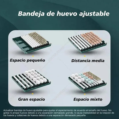 Incubadora Automática 24 Huevo 360° Giro Control Temperatura