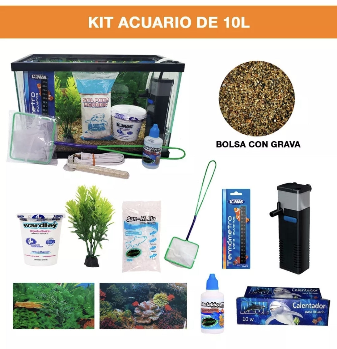 Kit acuario equipado de 10L