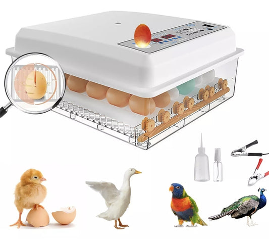 Incubadora automática de huevos 16 piezas