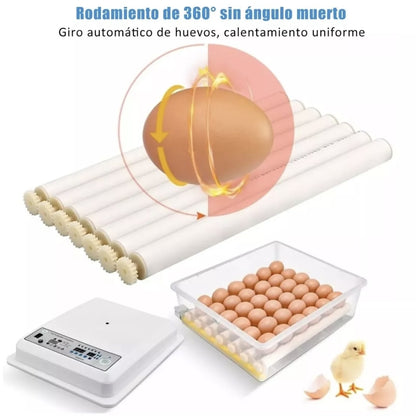 Incubadora automática de huevos 16 piezas