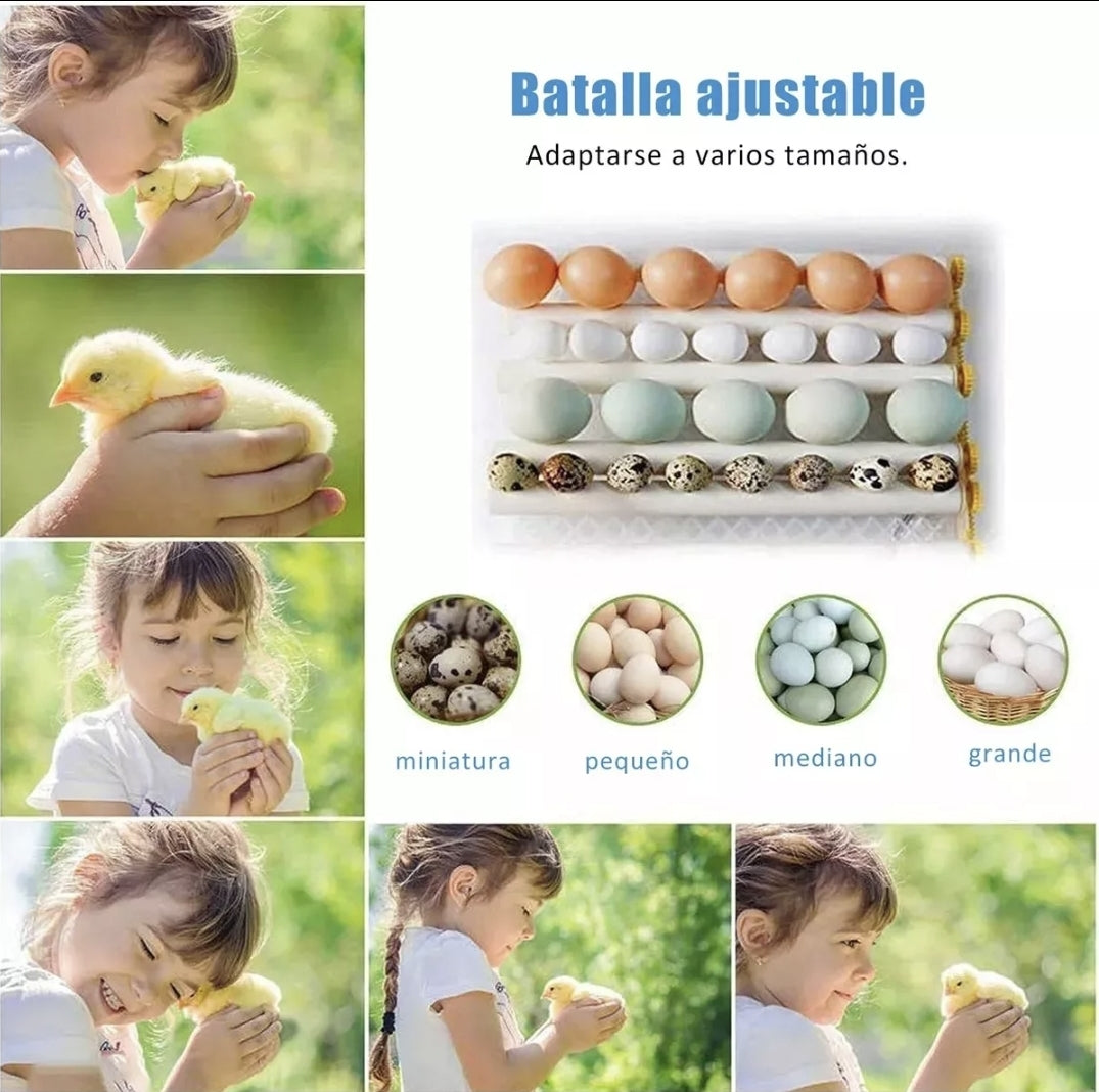 Incubadora automática de huevos 16 piezas