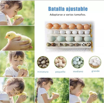 Incubadora automática de huevos 16 piezas