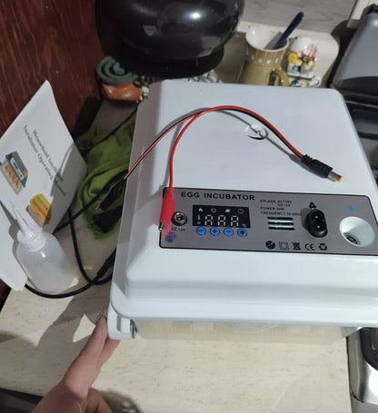 Incubadora automática de huevos 16 piezas