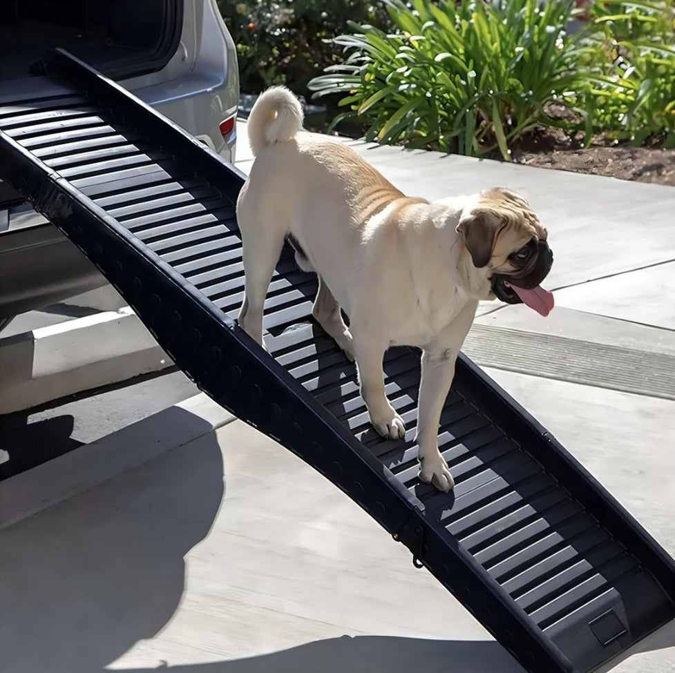 Rampa plegable para mascotas