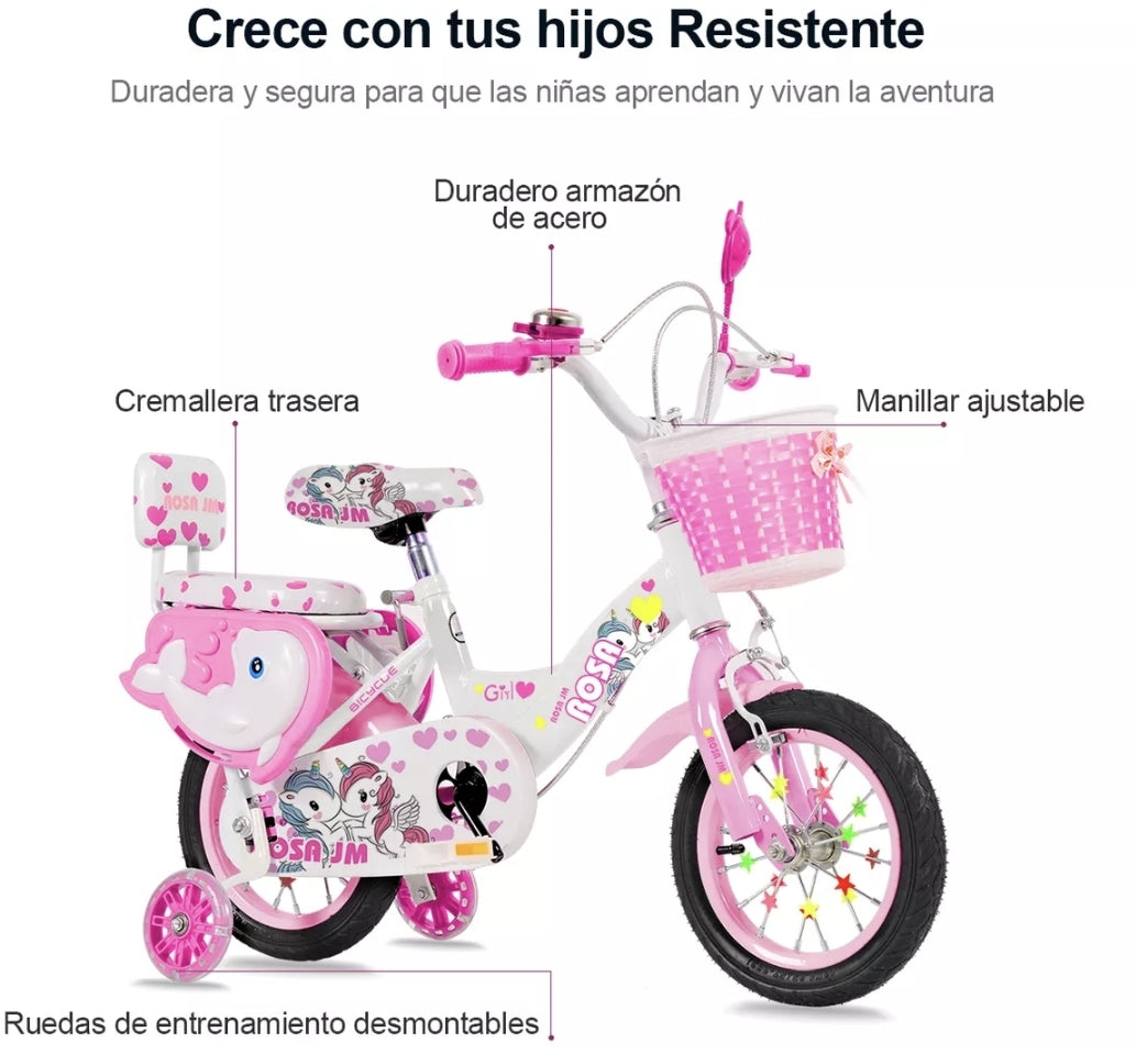 Bicicleta infantil R12 niña