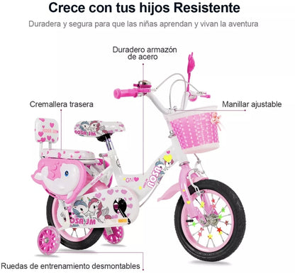 Bicicleta infantil R12 niña