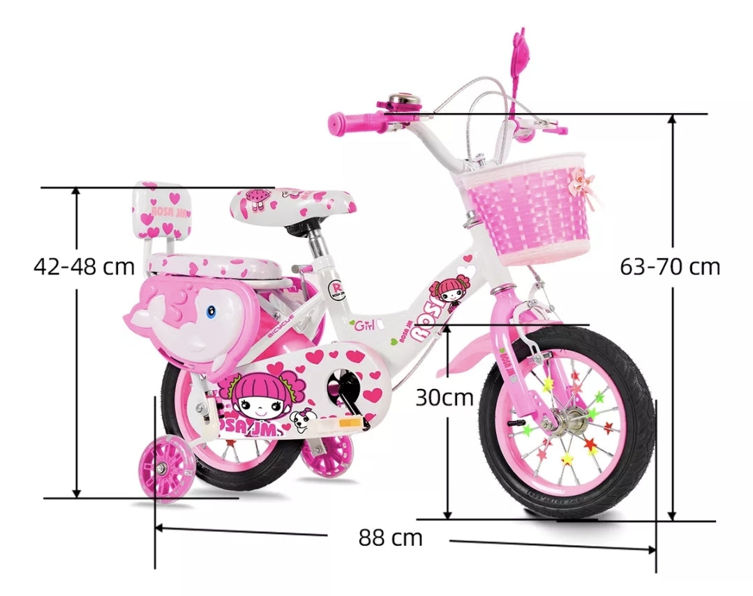 Bicicleta infantil R12 niña