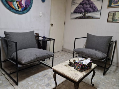 Silla individual Estructura metálica con cojín