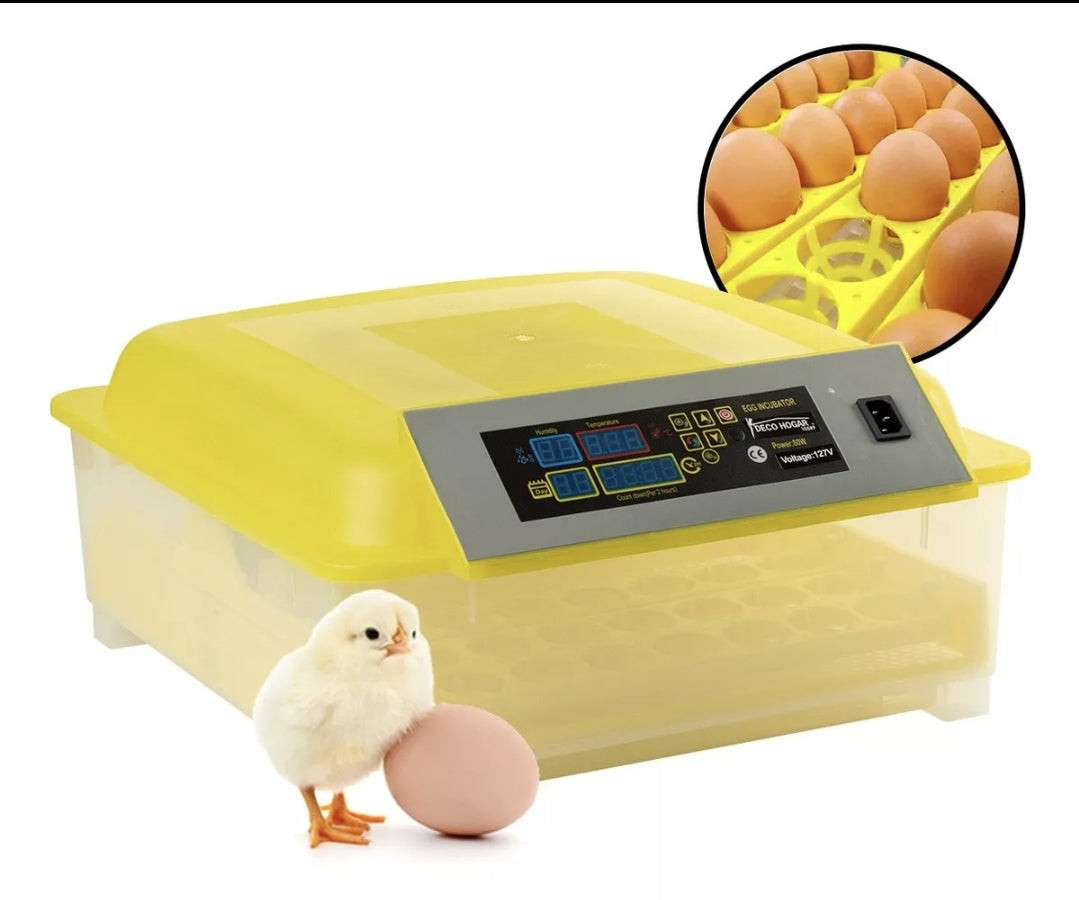 Incubadora 48 Huevos Pollos Y Aves Con Giro Automatico