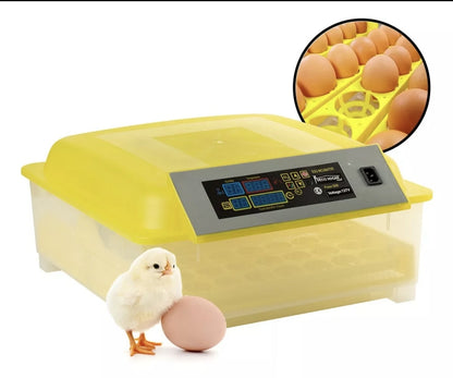 Incubadora 48 Huevos Pollos Y Aves Con Giro Automatico