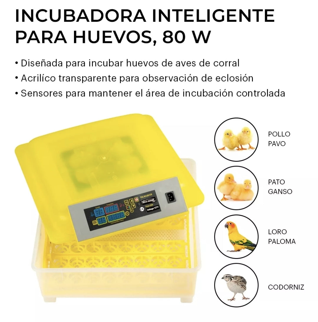 Incubadora 48 Huevos Pollos Y Aves Con Giro Automatico