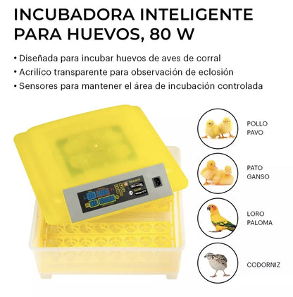 Incubadora 48 Huevos Pollos Y Aves Con Giro Automatico