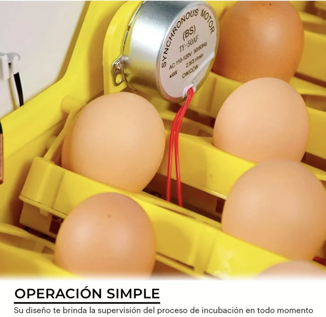 Incubadora 48 Huevos Pollos Y Aves Con Giro Automatico
