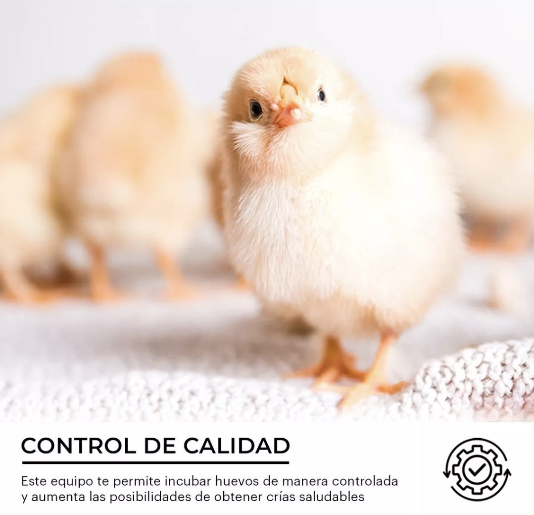Incubadora 48 Huevos Pollos Y Aves Con Giro Automatico