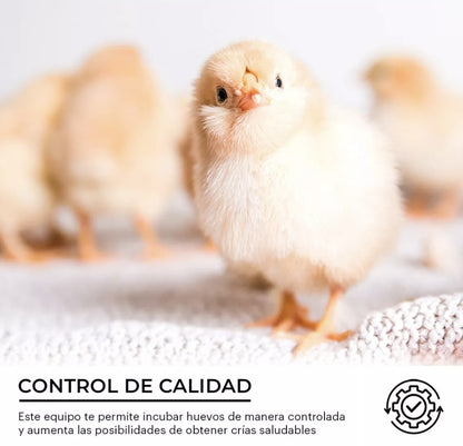 Incubadora 48 Huevos Pollos Y Aves Con Giro Automatico