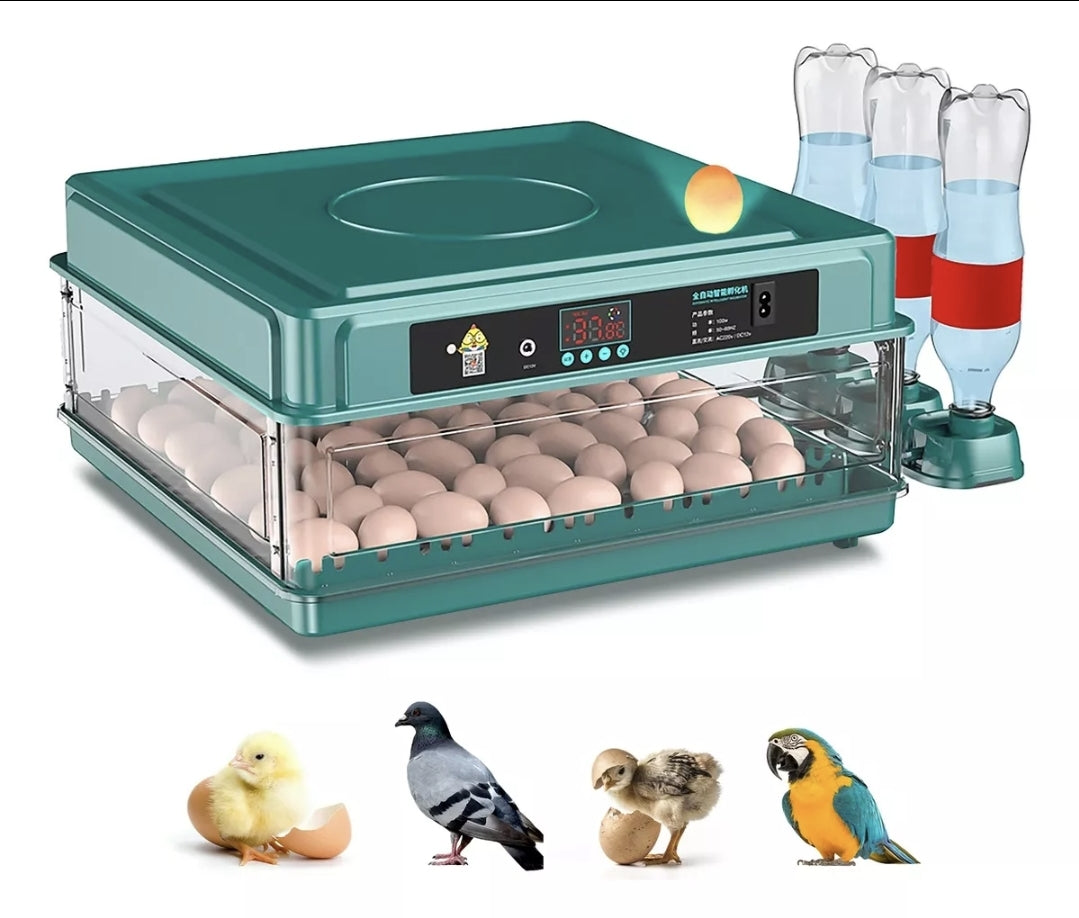 Incubadora Automatica Para 48 Huevos