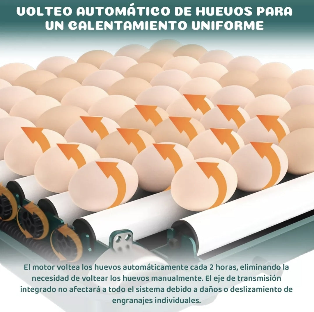 Incubadora Automatica Para 48 Huevos