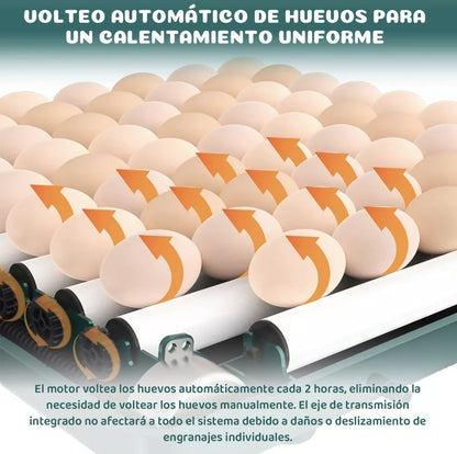 Incubadora Automatica Para 48 Huevos