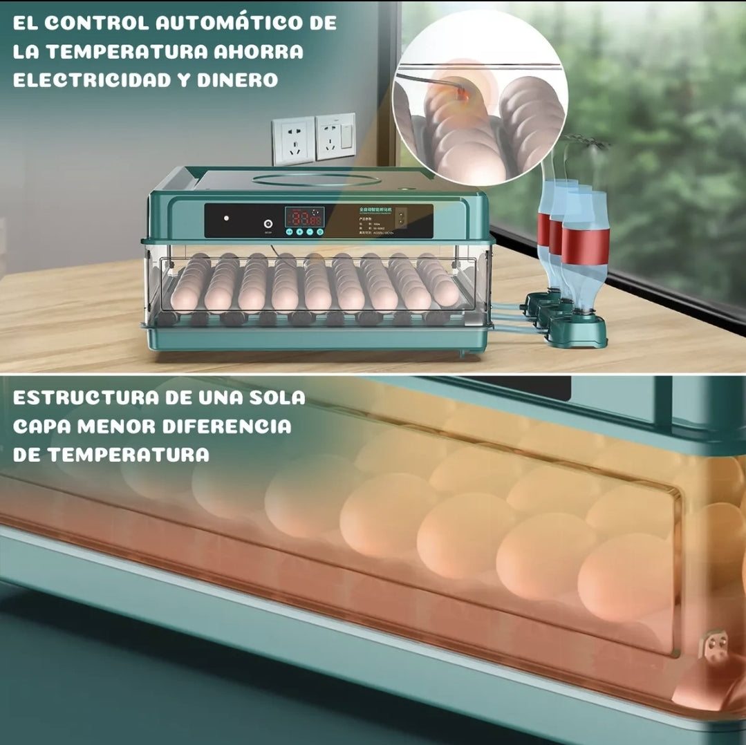 Incubadora Automatica Para 48 Huevos