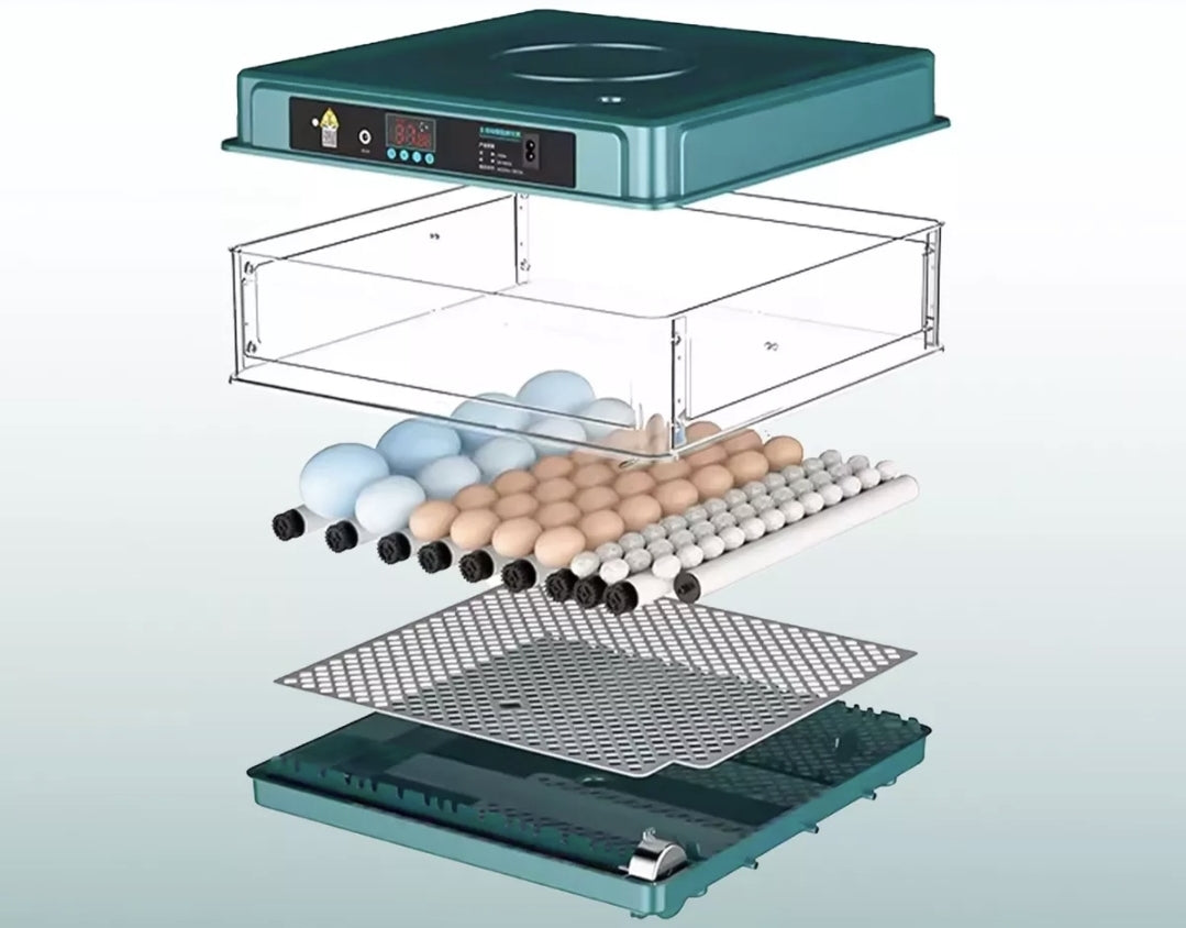 Incubadora Automatica Para 48 Huevos