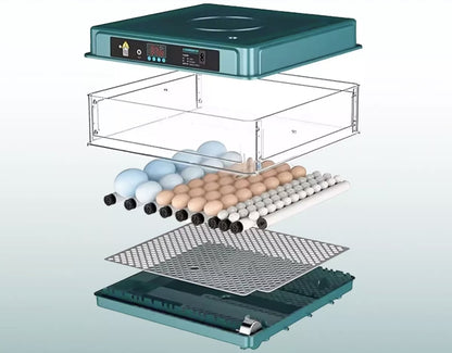 Incubadora Automatica Para 48 Huevos