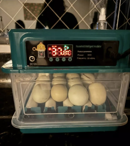 Incubadora Automatica Para 48 Huevos