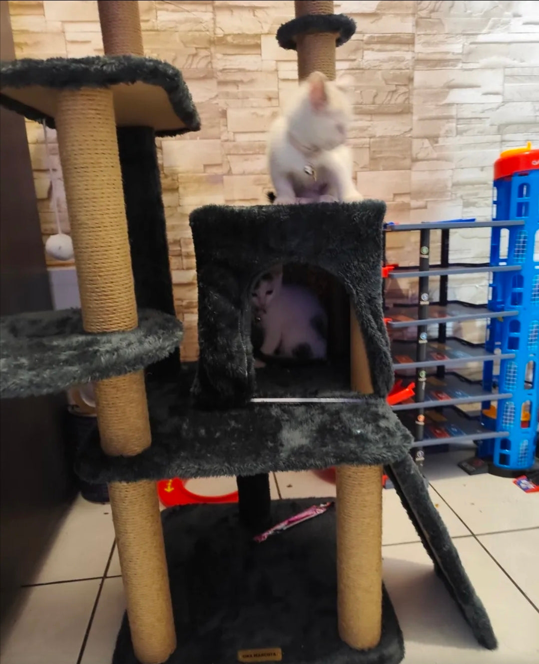 Torre Árbol Rascador Para Gato Con Casa Gris 132cm