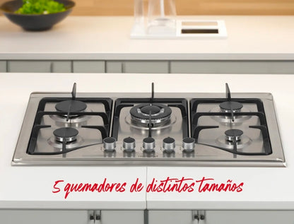 Parrilla A Gas Empotrable Estufa De Mesa 5 Quemadores Lp/nat Color Plateado