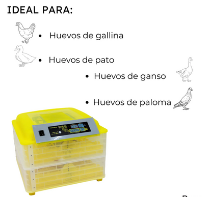 INCUBADORA PARA 112 HUEVOS