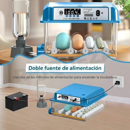 Incubadora Automática Inteligente Incubadora Avícola 16 Espacios 80w Azul