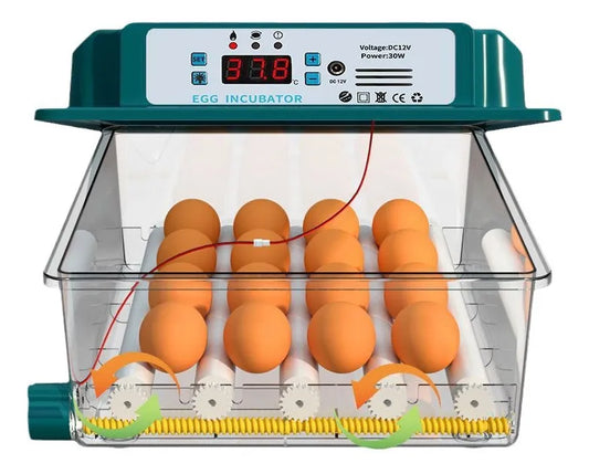 Incubadora Automática Inteligente Incubadora Avícola 16 Espacios 80w Azul