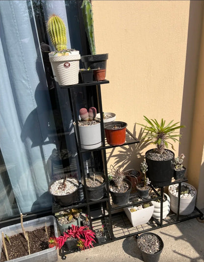 Soporte de metal para plantas  5 niveles