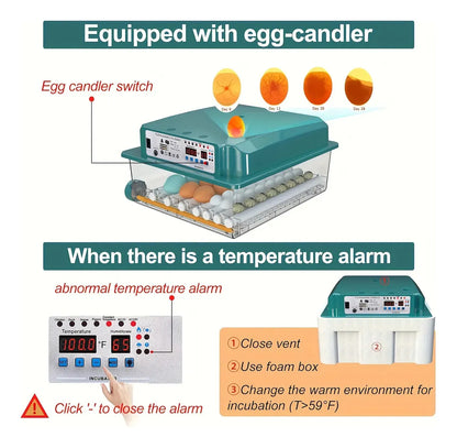 Incubadora Para 36 Huevos Con Control De Temperatura Y Giro