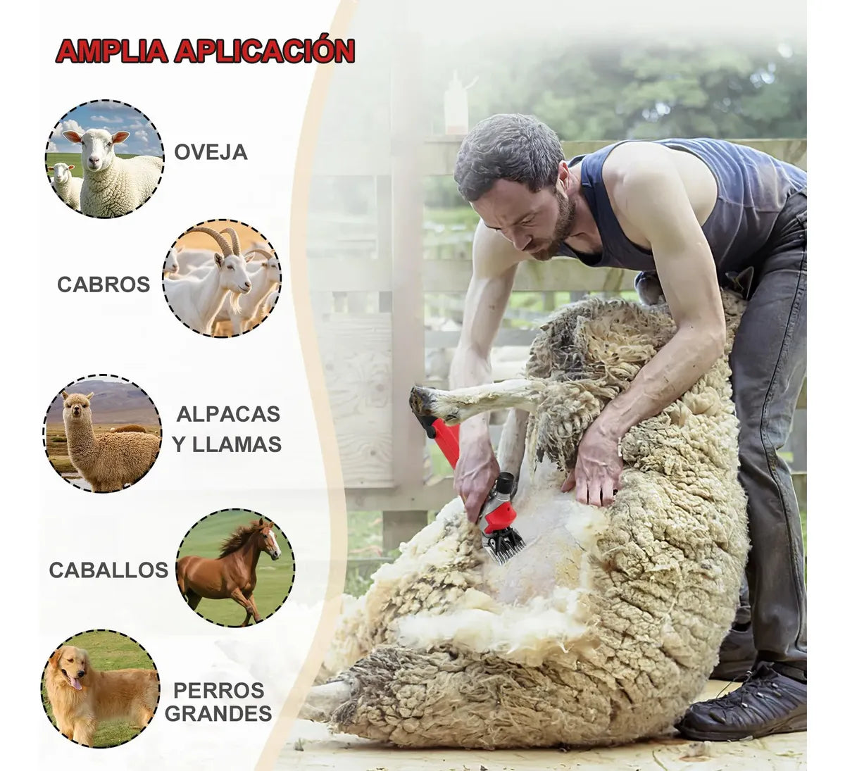 Rasuradora Trasquiladora Para Borregos Ovejas Y Perro Grande