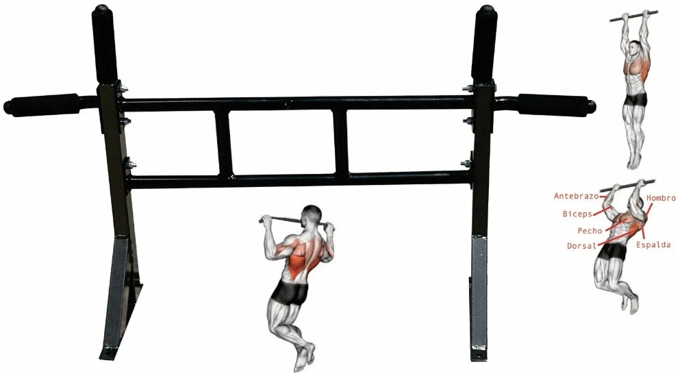 Barra Para Dominadas Abdominales  NEGRO soporte 150kg
