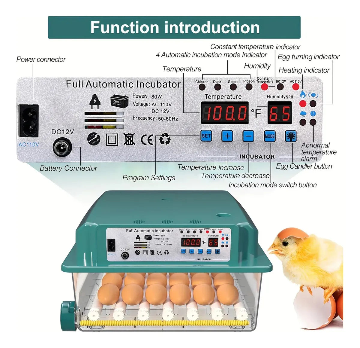 Incubadora Para 36 Huevos Con Control De Temperatura Y Giro