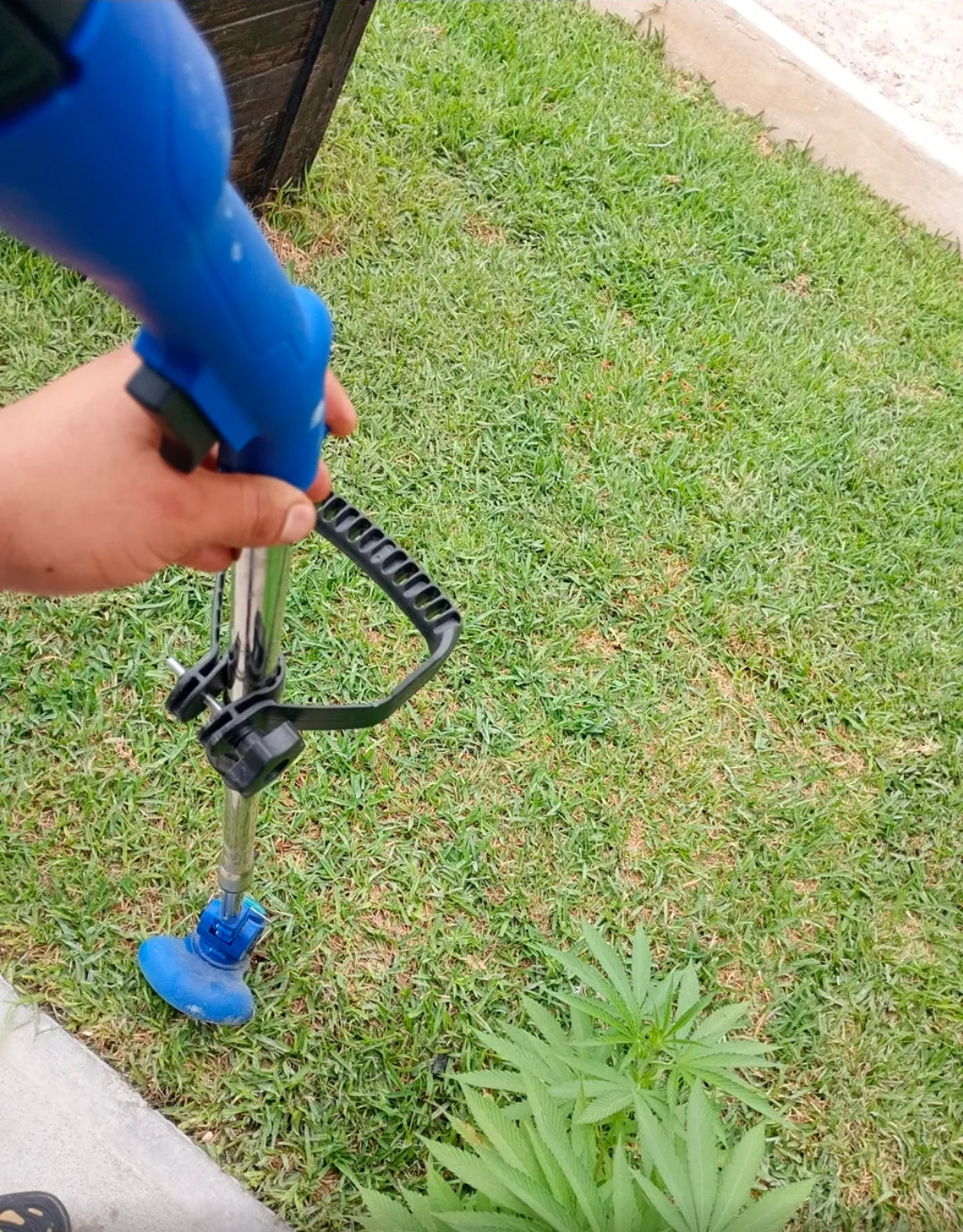 Desbrozadora inalámbrica eléctrica