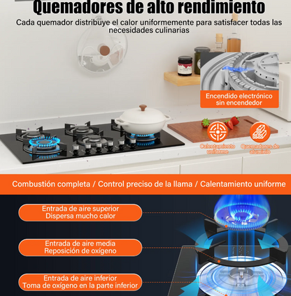 Parrilla de vidrio templado 6 quemadores
