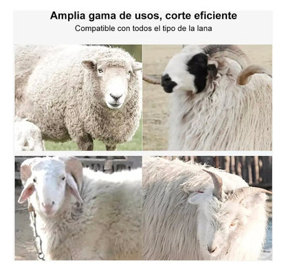 Rasuradora Trasquiladora Para Borregos Ovejas Y Perro Grande 1800w